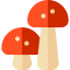 Mushroom icon 64x64