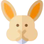 Rabbit іконка 64x64