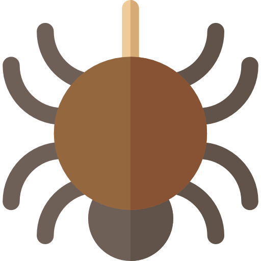 Spider icon