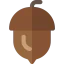 Acorn icon 64x64
