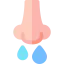 Runny nose 图标 64x64
