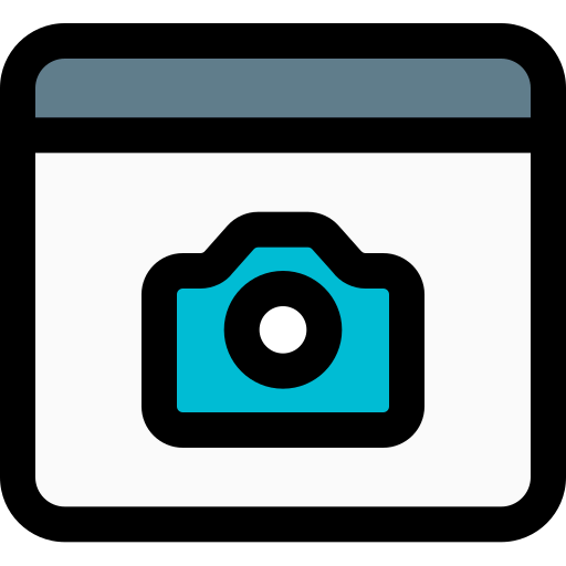 Browser icon