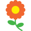 Flower icon 64x64