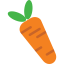 Carrot icon 64x64