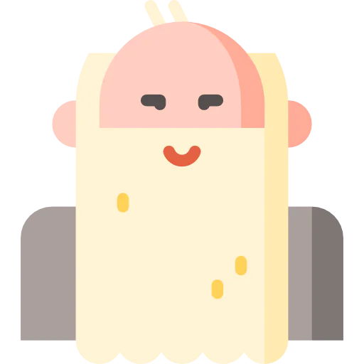 Wise icon