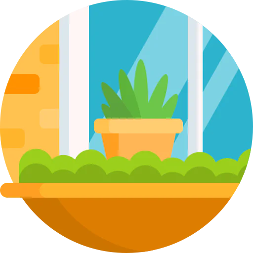 Window icon
