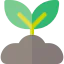 Sprout icon 64x64