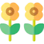 Sunflower アイコン 64x64