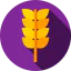 Пшеница иконка 64x64