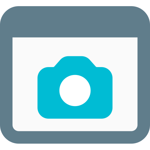 Browser icon