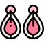 Earrings 图标 64x64
