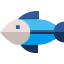 Animal icon 64x64