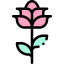 Rose icon 64x64