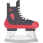 Skate icon 64x64
