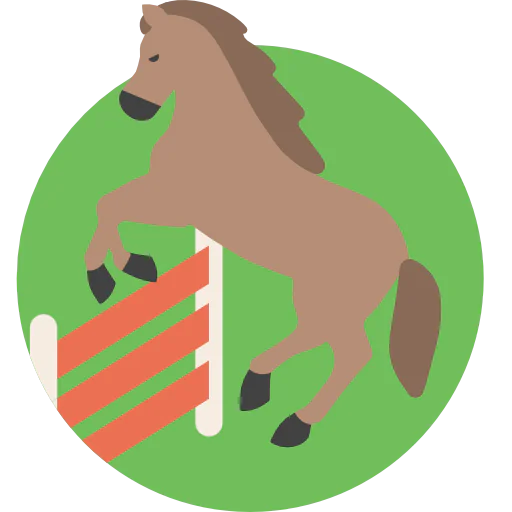 Equestrian icon