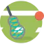 Lacrosse icon 64x64