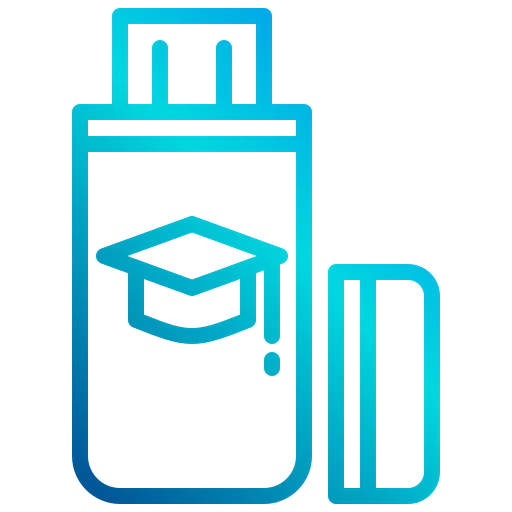 Flash drive icon