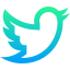 Twitter icon 64x64