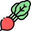 Radish icon 64x64