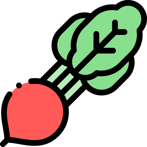 Radish icon