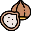Chestnut іконка 64x64
