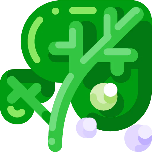 Leaf icon