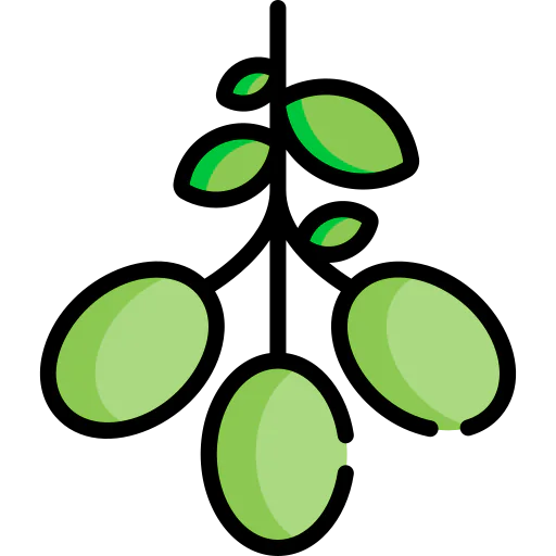 Olive icon