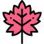 Maple leaf 图标 64x64