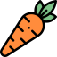 Carrot icon 64x64