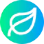Leaf icon 64x64