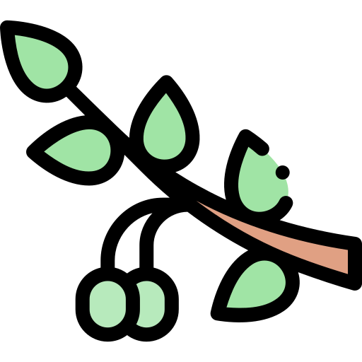Olive icon