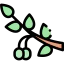 Оливковое иконка 64x64