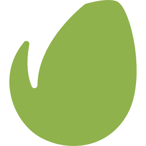 Envato icon
