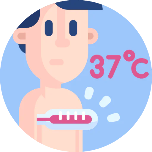 Temperature icon