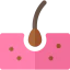 Hair icon 64x64