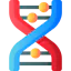 Dna icon 64x64