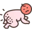 Rash іконка 64x64