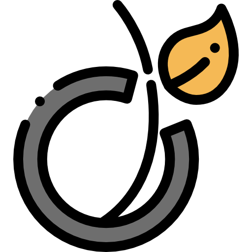 Viadeo icon