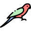 Parrots icon 64x64