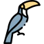 Toucan icon 64x64