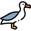 Albatross icon 64x64