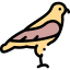Hawk icon 64x64