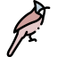 Bulbul アイコン 64x64