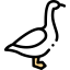 Goose icon 64x64