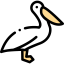 Pelican icon 64x64