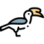 Hornbill icon 64x64
