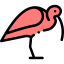 Ibis icon 64x64