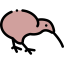 Kiwi icon 64x64