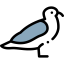 Gull icon 64x64