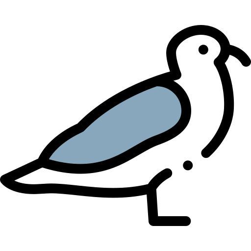 Gull icon